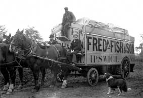 Ipswich Historic Lettering: F. Fish & Son