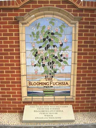Ipswich Historic Lettering: Blooming Fuchsia 2