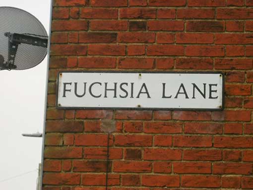 Ipswich Historic Lettering: Fuchsia Lane sign 2