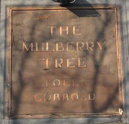 Ipswich Historic Lettering: Mulberry Tree 1