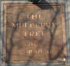 Ipswich Historic Lettering: Mulberry Tree icon