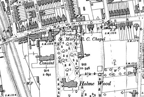 Ipswich Historic Lettering: Sunny Place, map 1902