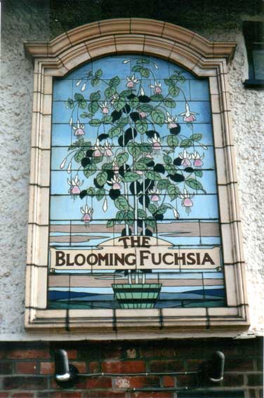 Ipswich Historic Lettering: Blooming Fuchsia 2002