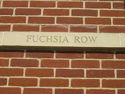 Ipswich Historic Lettering: Fuchsia Row 2