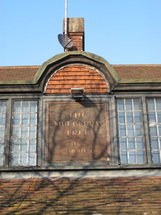Ipswich Historic Lettering: Mulberry Tree 2