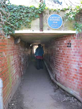 Ipswich Historic Lettering: Needham Cattle Tunnel 1