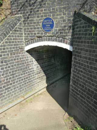 Ipswich Historic Lettering: Needham Cattle Tunnel 3