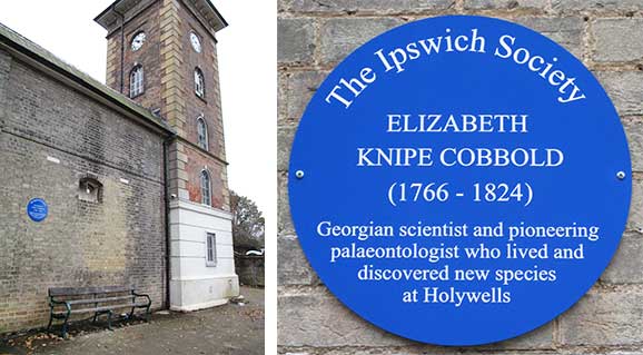 Ipswich Historic Lettering: Elizabeth Knipe Cobbold plaque